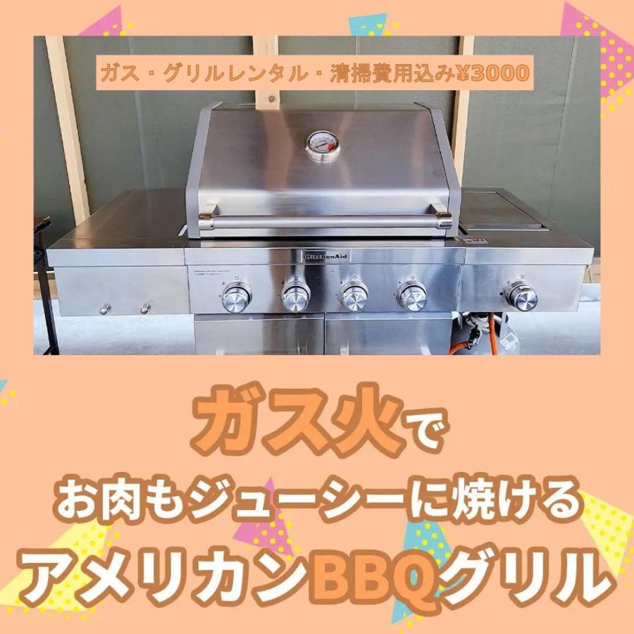 秘密基地: Bbqと恐竜博物館近くの貸切別荘 Katsuyama